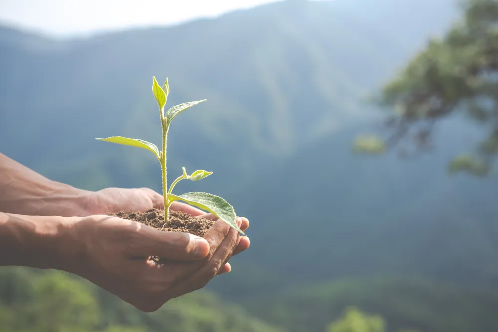 Combating climate change